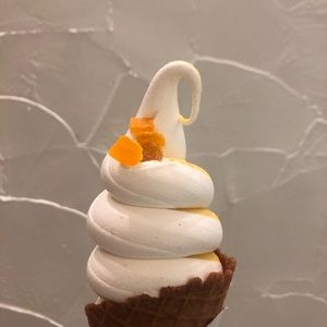 Meet your Posher, Coco